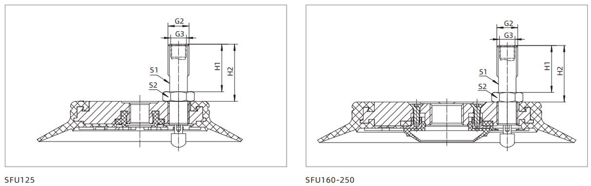 Dimensions Big Flat Suction Cup SFU125