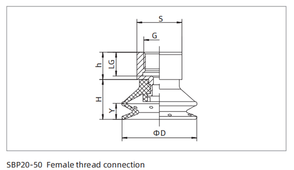 Dimensions PU Bellows Suction Cup SBP20-50 Female Thread Connection