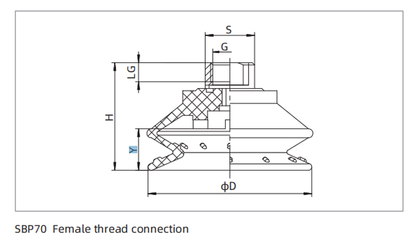 Dimensions PU Bellows Suction Cup SBP70 Female Thread Connection