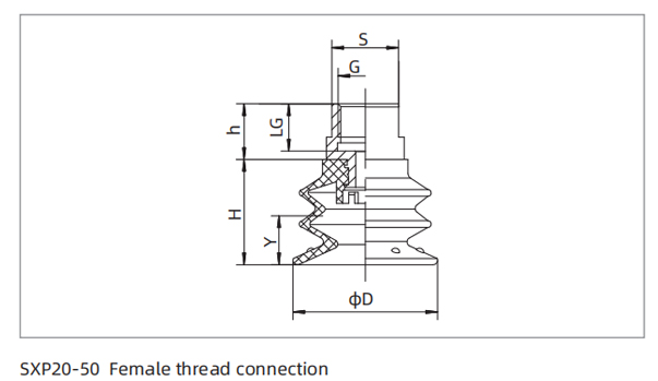 Dimensions PU Bellows Suction Cup SXP20-50 Female Thread Connection