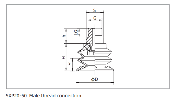 Dimensions PU Bellows Suction Cup SXP20-50 Male Thread Connection