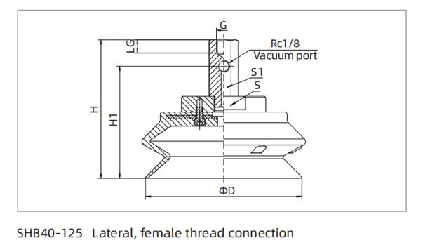 Dimensions Heavy Load Bellows Suction Cup SHB40-125 Lateral Female Thread Connection