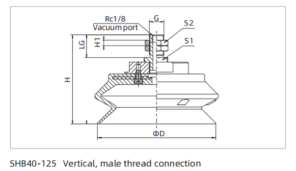 Dimensions Heavy Load Bellows Suction Cup SHB40-125 Vertical Female Thread Connection-M14M-M16M