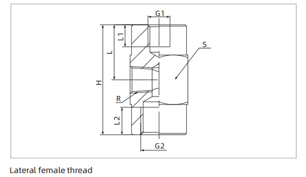 Dimensions PJF Series Universal Mounting Parts-Locking Fitting Lateral Female Thread